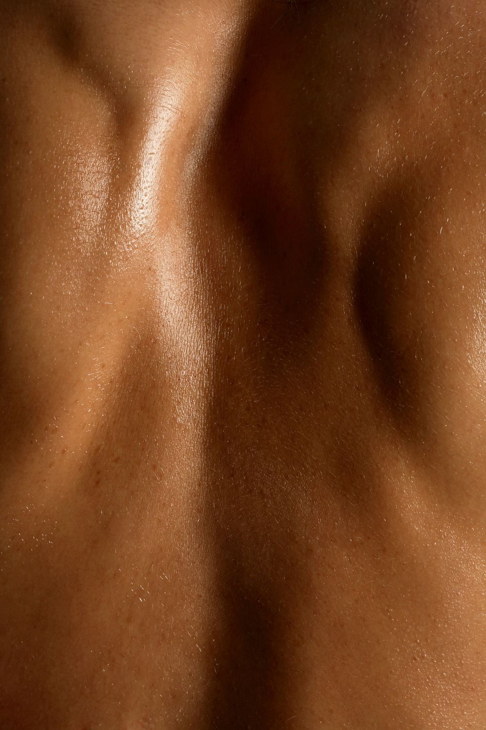 Close-up of smooth, dark skin texture.